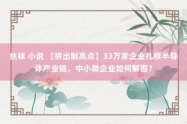 丝袜 小说 【拼出制高点】33万家企业扎根半导体产业链，中小微企业如何解围？