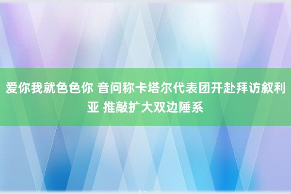 爱你我就色色你 音问称卡塔尔代表团开赴拜访叙利亚 推敲扩大双边陲系