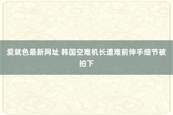 爱就色最新网址 韩国空难机长遭难前伸手细节被拍下