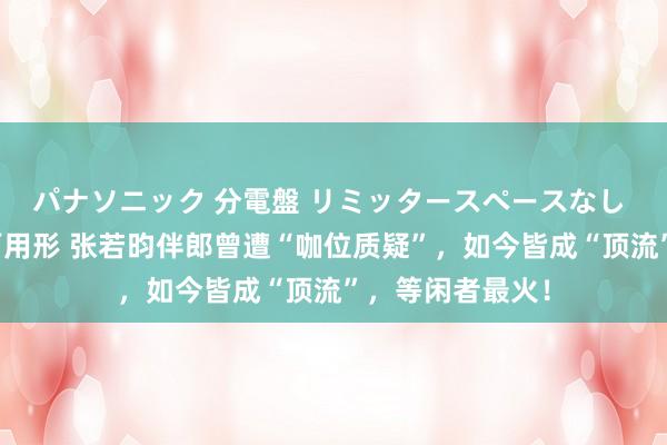 パナソニック 分電盤 リミッタースペースなし 露出・半埋込両用形 张若昀伴郎曾遭“咖位质疑”，如今皆成“顶流”，等闲者最火！