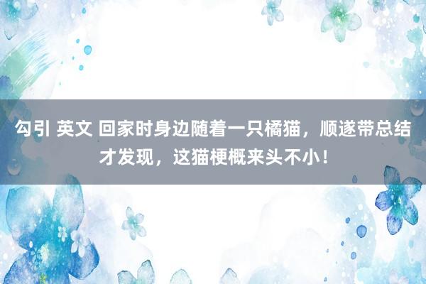 勾引 英文 回家时身边随着一只橘猫，顺遂带总结才发现，这猫梗概来头不小！