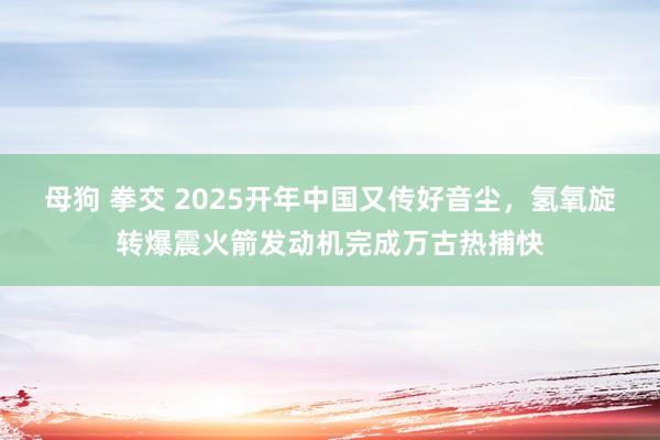 母狗 拳交 2025开年中国又传好音尘，氢氧旋转爆震火箭发动机完成万古热捕快