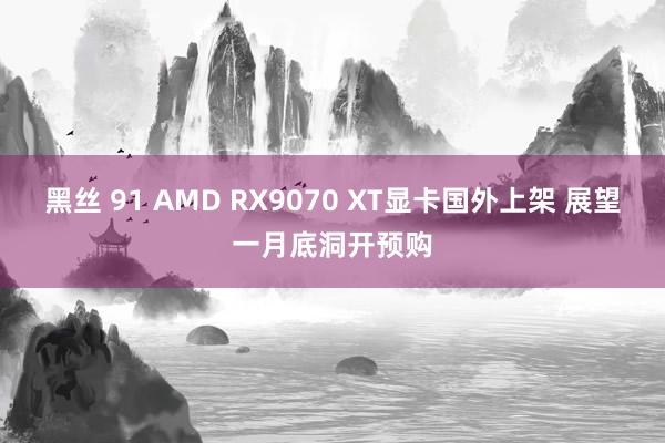 黑丝 91 AMD RX9070 XT显卡国外上架 展望一月底洞开预购