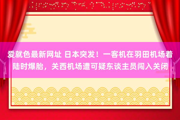 爱就色最新网址 日本突发！一客机在羽田机场着陆时爆胎，关西机场遭可疑东谈主员闯入关闭