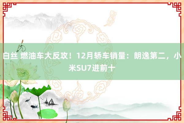 白丝 燃油车大反攻！12月轿车销量：朗逸第二，小米SU7进前十