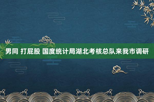 男同 打屁股 国度统计局湖北考核总队来我市调研