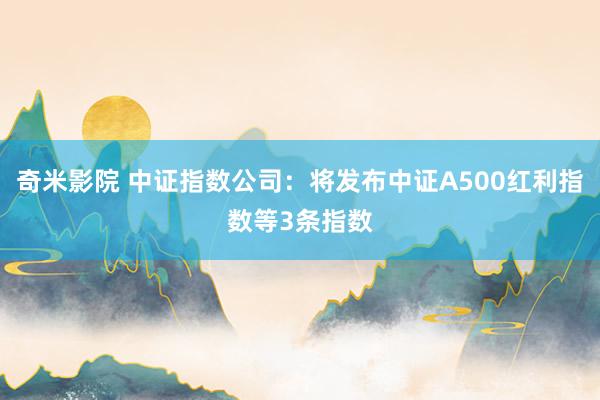 奇米影院 中证指数公司：将发布中证A500红利指数等3条指数