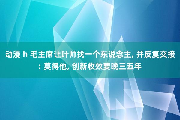 动漫 h 毛主席让叶帅找一个东说念主， 并反复交接: 莫得他， 创新收效要晚三五年