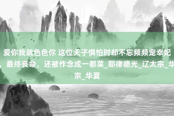 爱你我就色色你 这位天子惧怕时却不忘频频宠幸妃子，最终丧命，还被作念成一都菜_耶律德光_辽太宗_华夏
